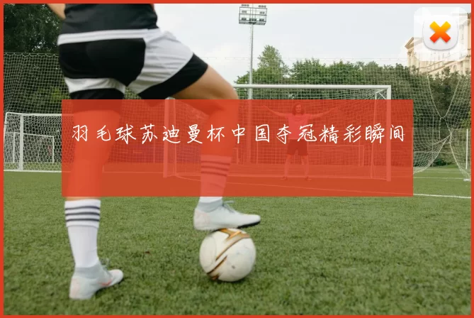 羽毛球苏迪曼杯中国夺冠精彩瞬间