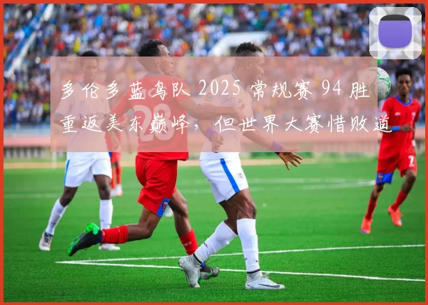 多伦多蓝鸟队 2025 常规赛 94 胜重返美东巅峰，但世界大赛惜败道奇