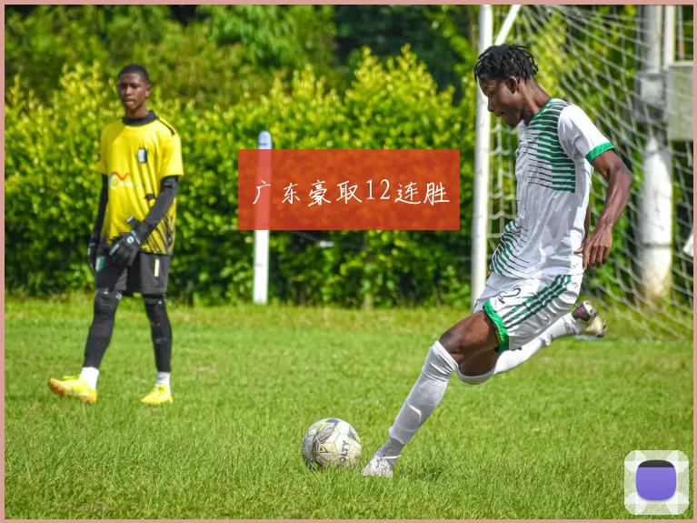 广东豪取12连胜