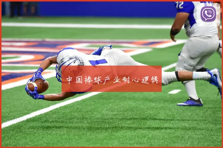 中国棒球产业耐心逻辑
