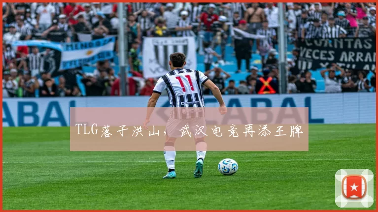 TLG落子洪山，武汉电竞再添王牌