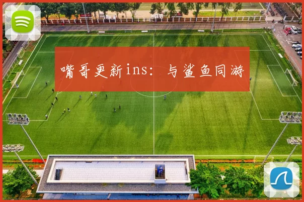 嘴哥更新ins：与鲨鱼同游