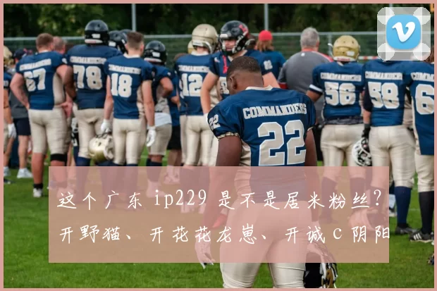 这个广东 ip229 是不是居米粉丝？开野猫、开花花龙崽、开诚 c 阴阳 suk