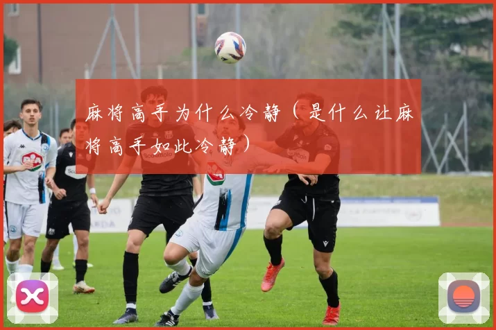 麻将高手为什么冷静（是什么让麻将高手如此冷静）