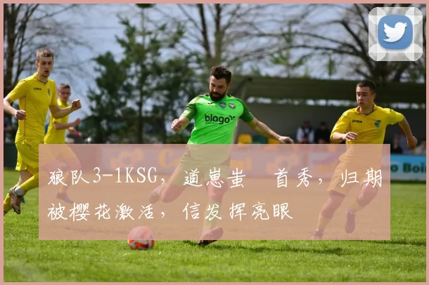 狼队3-1KSG，道崽蚩奼首秀，归期被樱花激活，信发挥亮眼