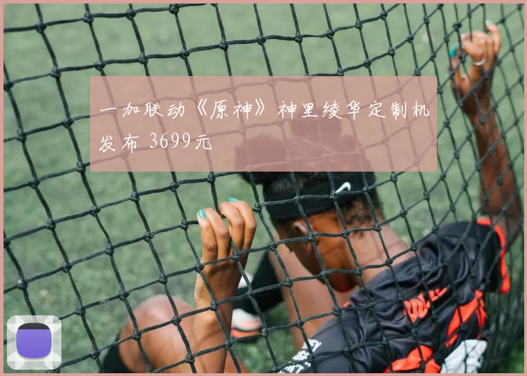 一加联动《原神》神里绫华定制机发布 3699元