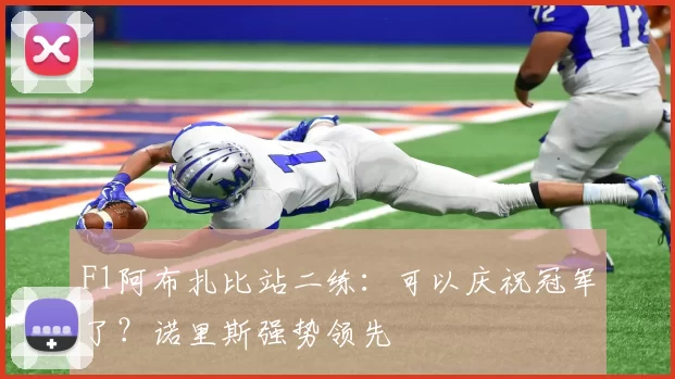 F1阿布扎比站二练：可以庆祝冠军了？诺里斯强势领先