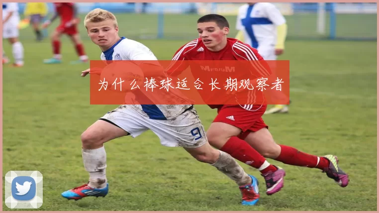 为什么棒球适合长期观察者